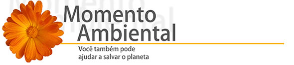 cabecalho_pagina_momento_ambiental